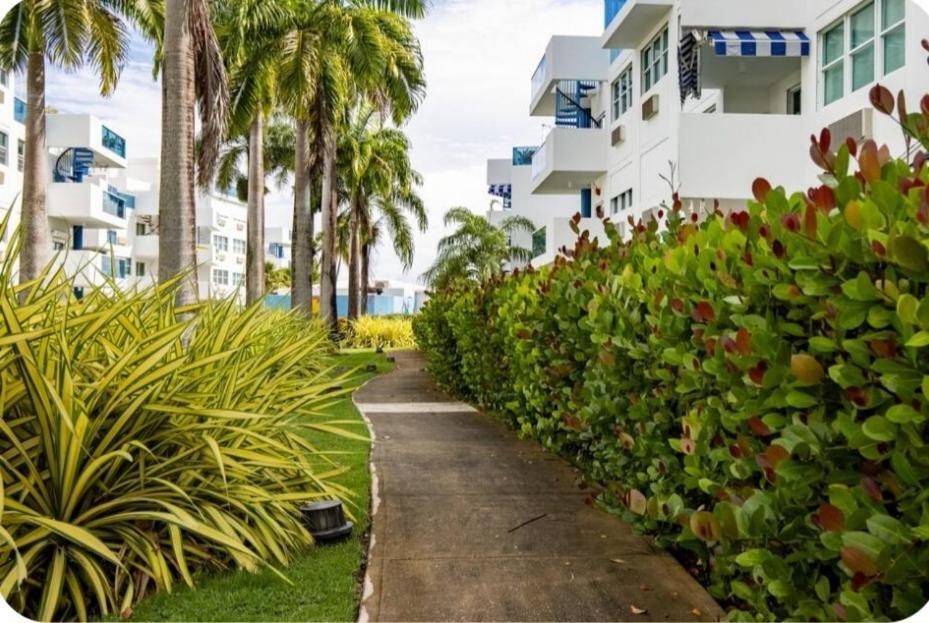 Breezy Nights Puerto Rico Apartman Loiza Kültér fotó